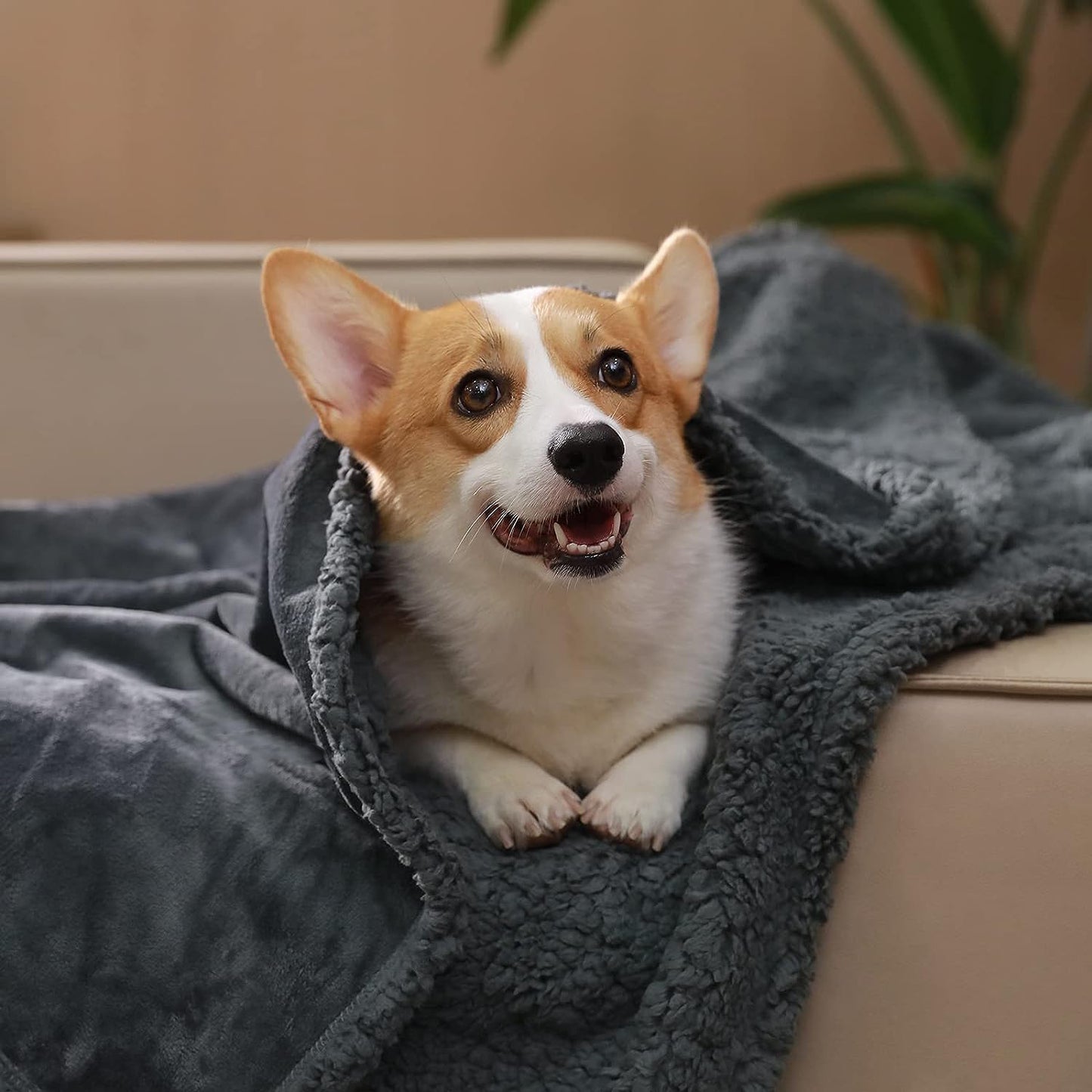 Cozy™ Waterproof Blanket