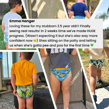 Potty Training Underwear