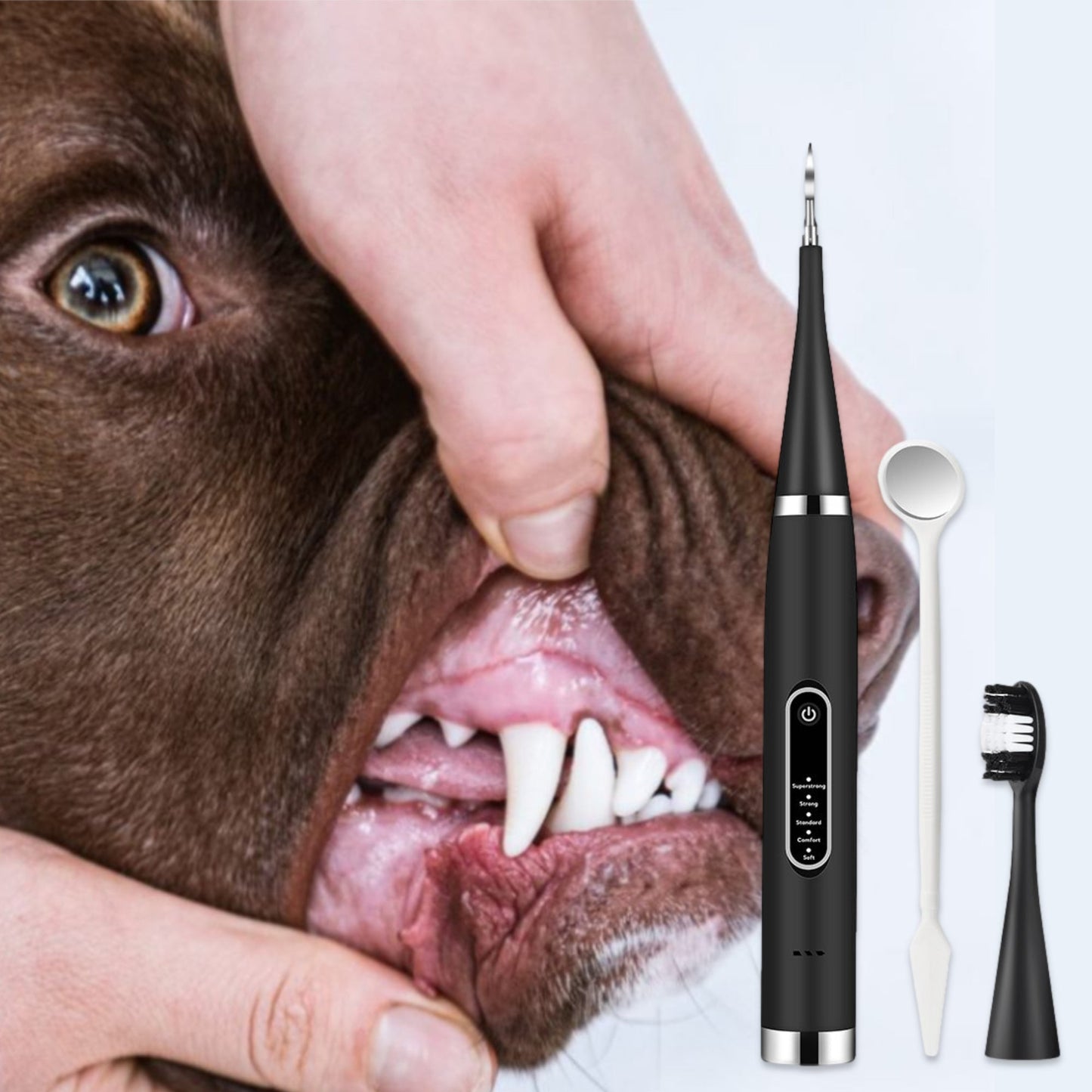 Nematyta™ - Dental Scaler For Dogs